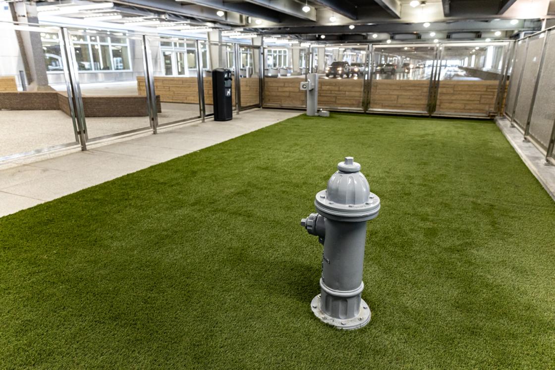 Photo of the Service Animal Relief Area outside Arrivals at Terminal 1 featuring a grassy area, fence, and fire hydrant