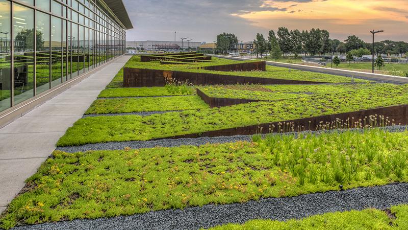 green roof