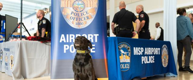 Night to Unite APD dog 2023