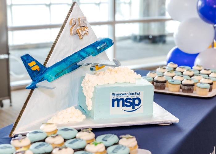 Icelandair 25th anniversary cake and cupcakes