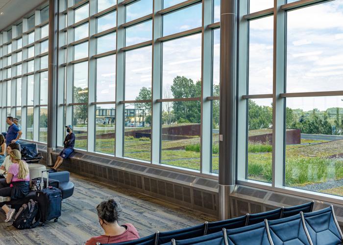 Green roof from inside T2