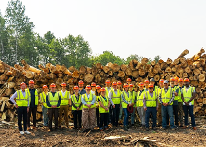SAF Hub visit to timber areas