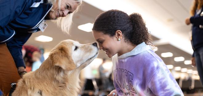 Animal Ambassador